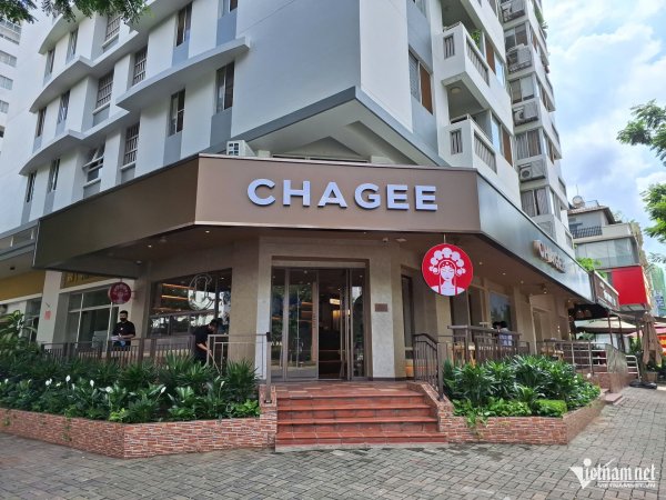 Thương hiệu trà Trung Quốc Cha